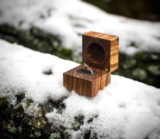 Prve vločky ❄️ A s prvým snehom som nafotil túto drevenú krabičku z exotickej dreviny ZEBRANO. Jej výrazné tmavo-svetlé...